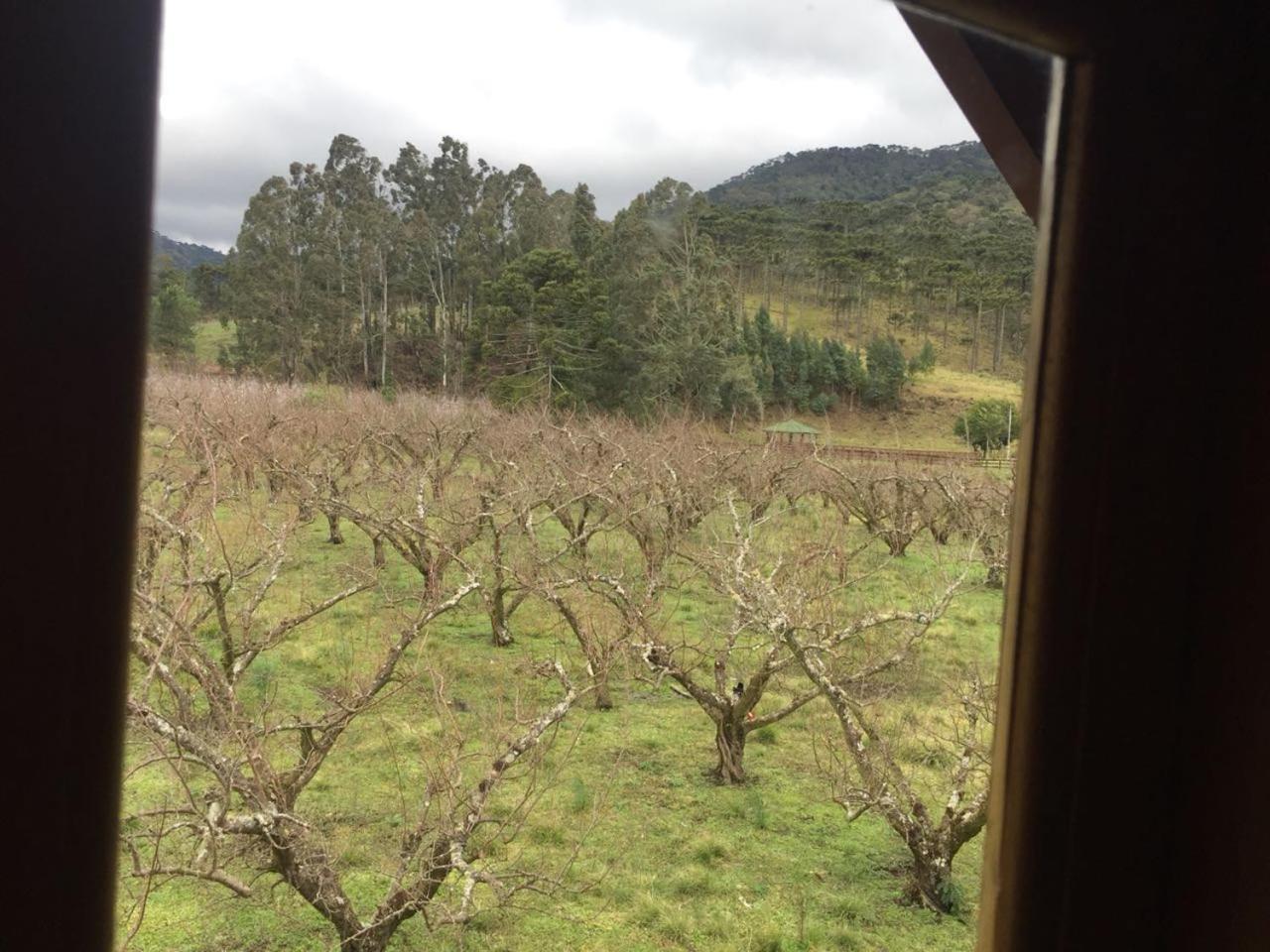 Pousada Sabor Da Roca Urubici Kültér fotó